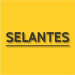 Linha Selantes Kenwee